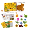 Image sur Kit papillons et abeilles au jardin